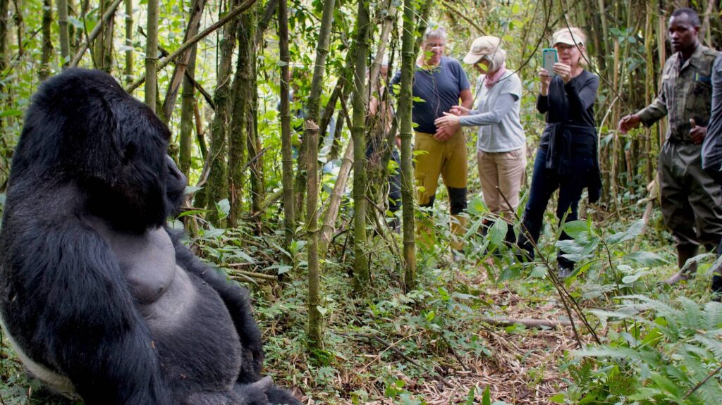 2 Days Gorilla Trekking Uganda Safari