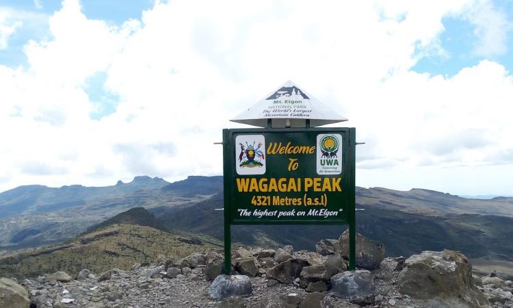 Mount Elgon National Park Safari Uganda - Uganda Wildlife