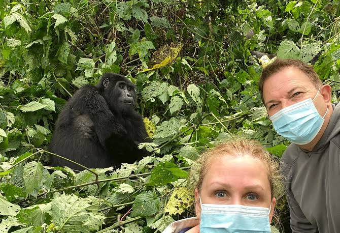 12 Days Ultimate Gorilla Trekking Uganda Safari
