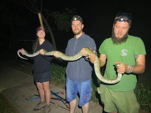 14 Days Uganda Herping Expedition - Uganda Wildlife And Herping Safaris