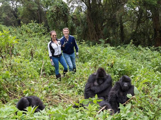 3 Days Gorilla Trekking from Kigali