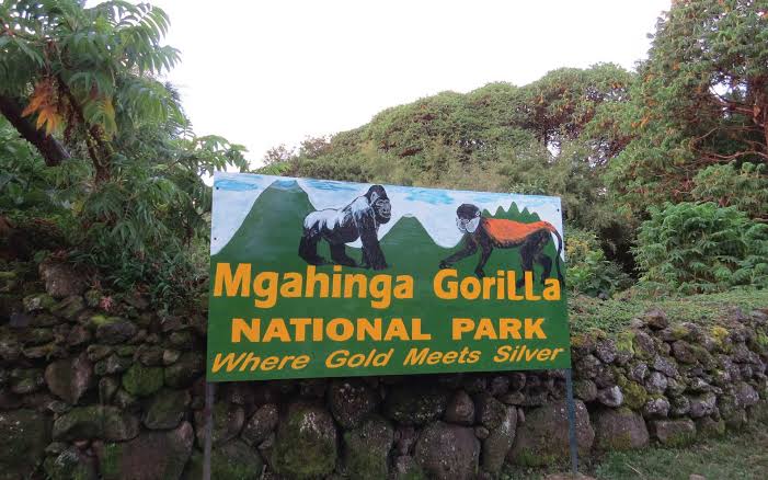 Mgahinga Gorilla National Park Safari Uganda