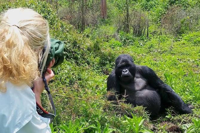 3 Days Bwindi Gorilla Trekking Safari - Uganda Wildlife And Herping Safaris