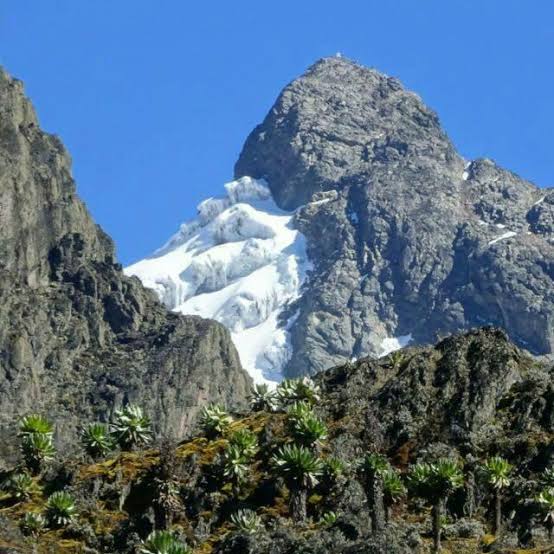 Rwenzori Mountains National Park Safari Uganda