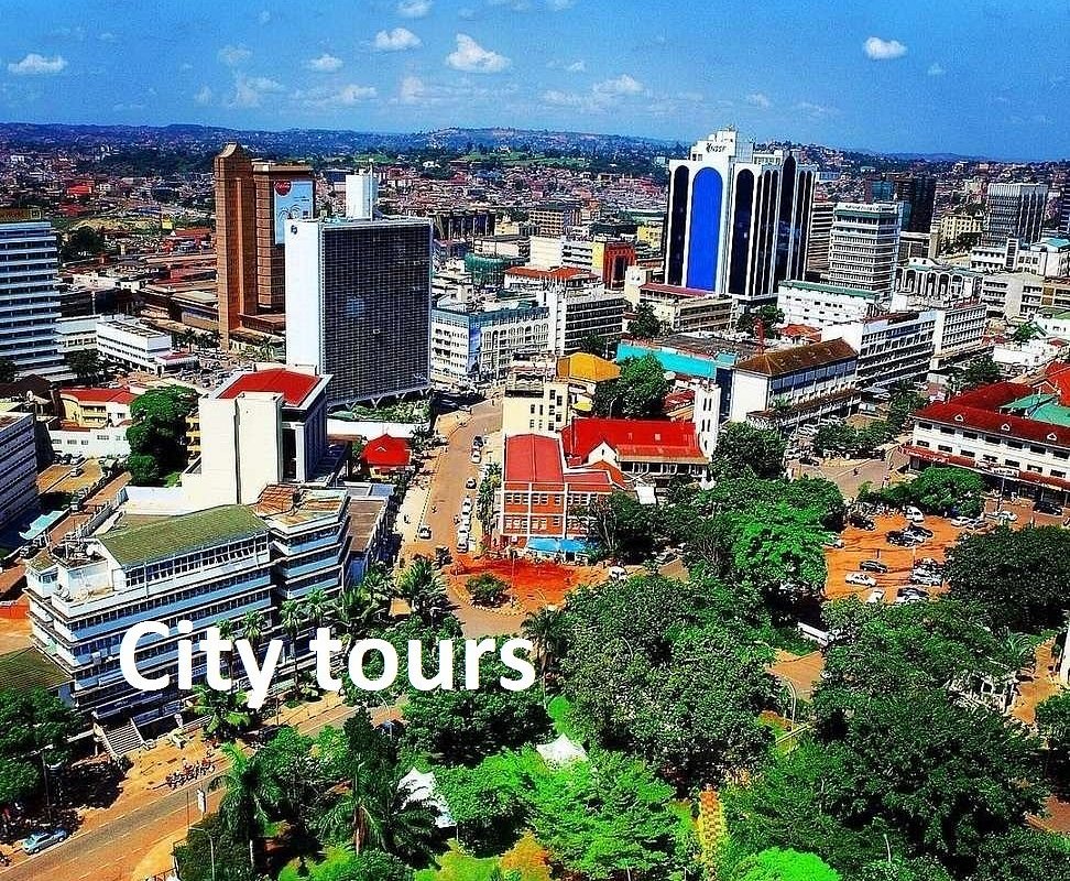 Kampala City Tours Uganda - Uganda Wildlife And Herping