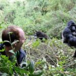 How Much Does Gorilla Trekking in Uganda Cost in 2026?