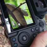 8 Day Intensive Herping Safari In Uganda – Rare Snakes, Chameleons & Wildlife Adventure