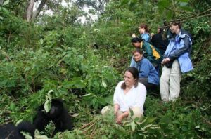 3 Day Bwindi Gorilla Trekking Safari