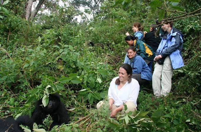 3 Day Bwindi Gorilla Trekking Safari